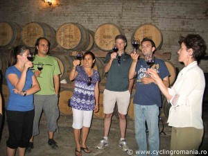 Wine-tasting-session-at-the-wine-cellar