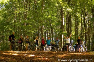 14-Cycling-through-beautiful-forests