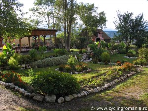 35-Beautifully-maintained-garden-in-Homorod