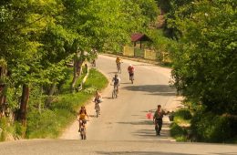 The wine hills of Dealu Mare