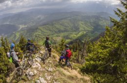 Cycling with the bears