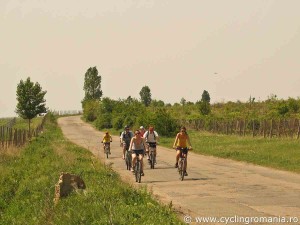 Cycling-through-the-vineyards