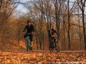 Forest-bike-tour-in-March